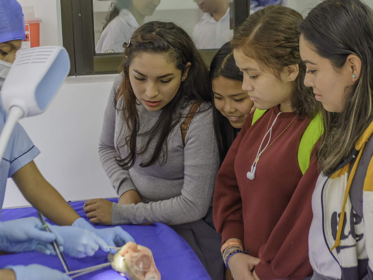 45 / 114 - Campus Visit 2019 - Galería 45 / 114 - Campus Visit 2019 - Galería
