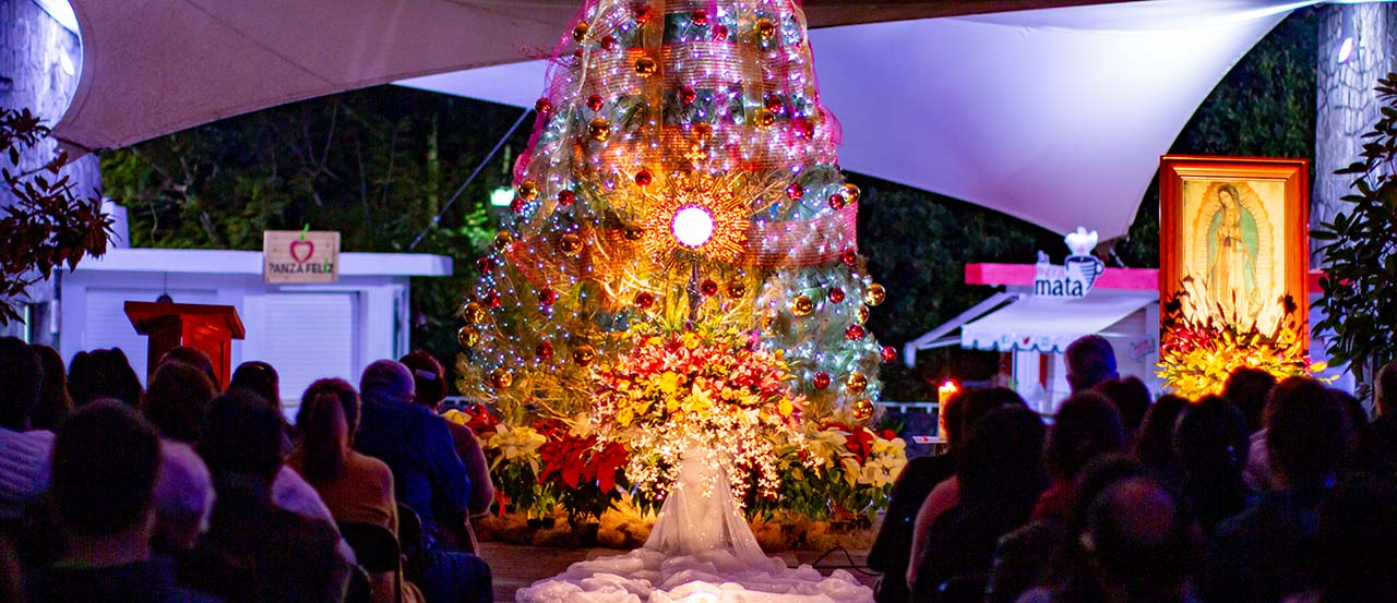 La Vida Eterna, la Promesa de Jesús: Cierre del Reto Heart of a Lion 2019