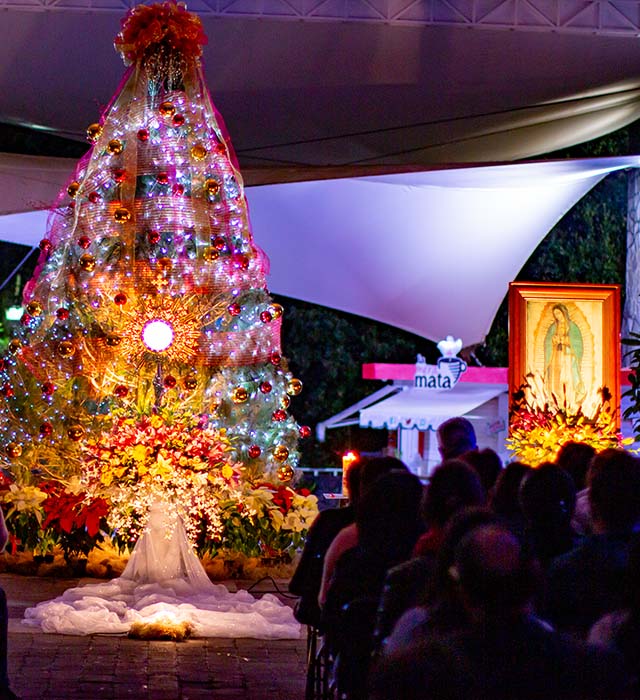 La Vida Eterna, la Promesa de Jesús: Cierre del Reto Heart of a Lion 2019