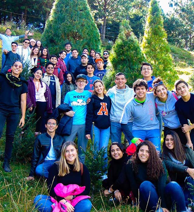 Con el Corte de Árbol Iniciamos la Temporada Navideña 2019