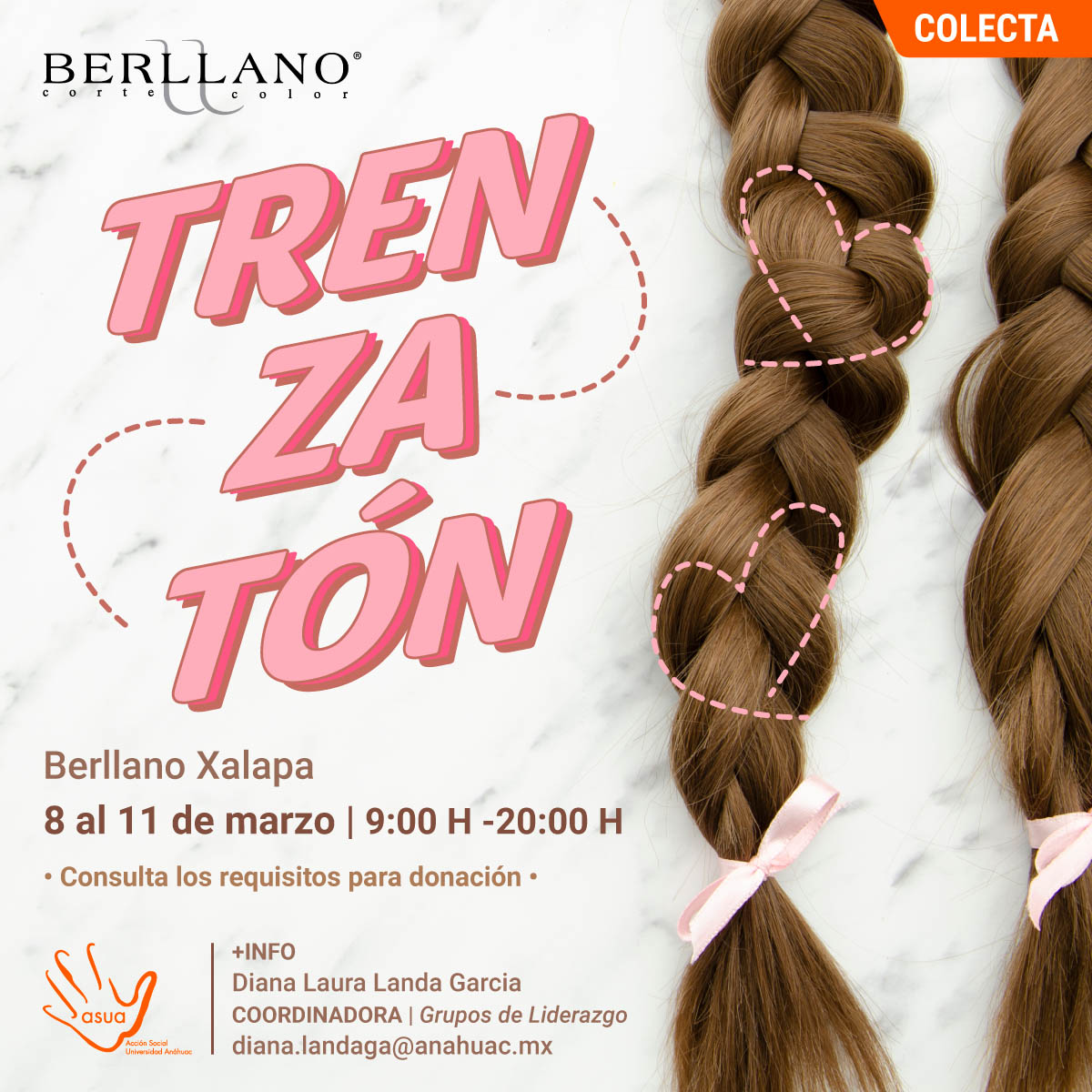 Trenzatón Trenzatón