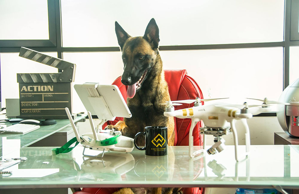 5 / 10 - La Vanguardia en Laboratorios y Plan de Estudios Fueron Determinantes en mi Formación 5 / 10 - La Vanguardia en Laboratorios y Plan de Estudios Fueron Determinantes en mi Formación