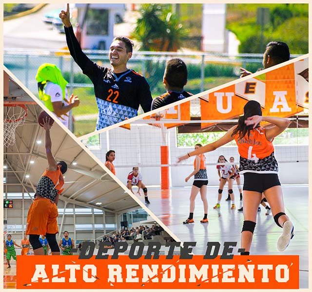 Deporte de Alto Rendimiento