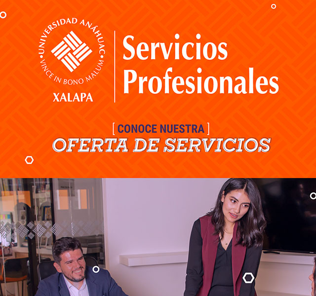 Servicios Profesionales