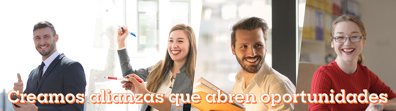 Bolsa de Trabajo