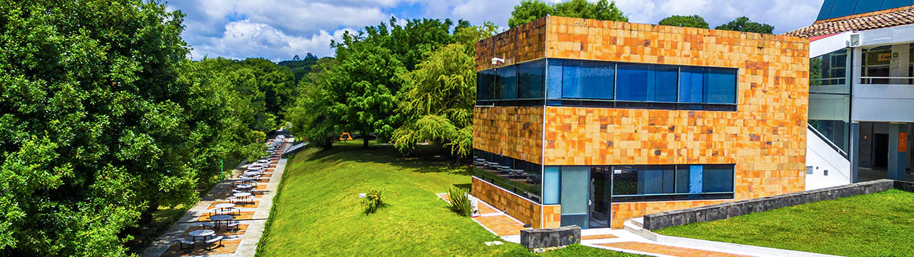 Modelo Educativo Anáhuac