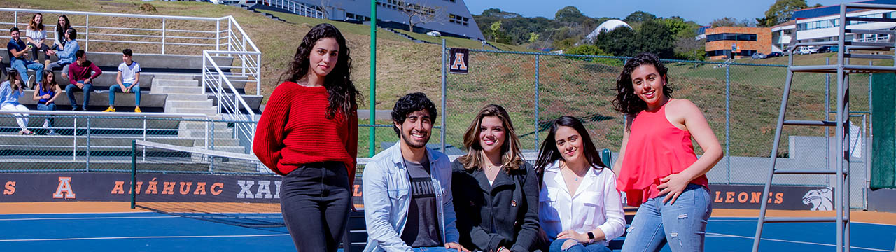 Licenciaturas
