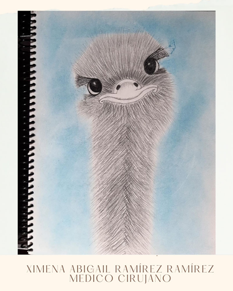 4 / 28 - Taller de Dibujo Artístico: Los Bellos Trazos del Dibujo Artístico 4 / 28 - Taller de Dibujo Artístico: Los Bellos Trazos del Dibujo Artístico