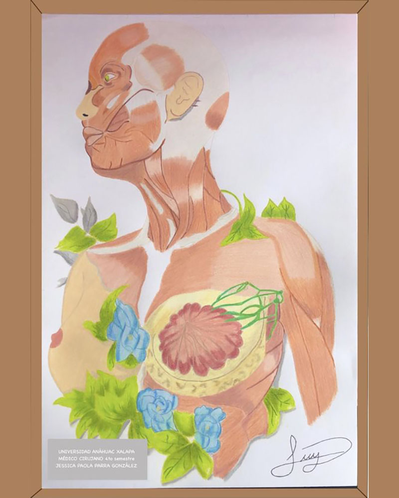 6 / 28 - Taller de Dibujo Artístico: Los Bellos Trazos del Dibujo Artístico 6 / 28 - Taller de Dibujo Artístico: Los Bellos Trazos del Dibujo Artístico