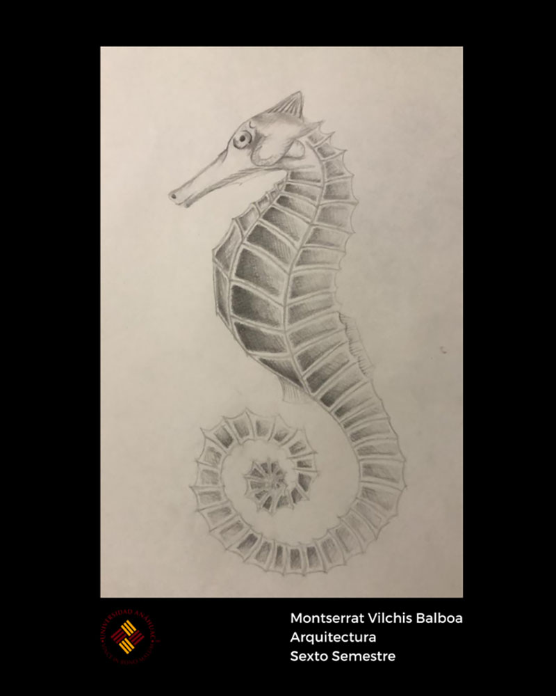 18 / 28 - Taller de Dibujo Artístico: Los Bellos Trazos del Dibujo Artístico 18 / 28 - Taller de Dibujo Artístico: Los Bellos Trazos del Dibujo Artístico