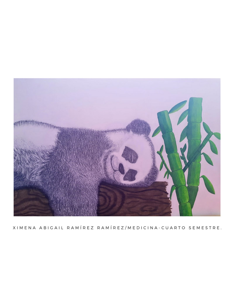 21 / 28 - Taller de Dibujo Artístico: Los Bellos Trazos del Dibujo Artístico 21 / 28 - Taller de Dibujo Artístico: Los Bellos Trazos del Dibujo Artístico