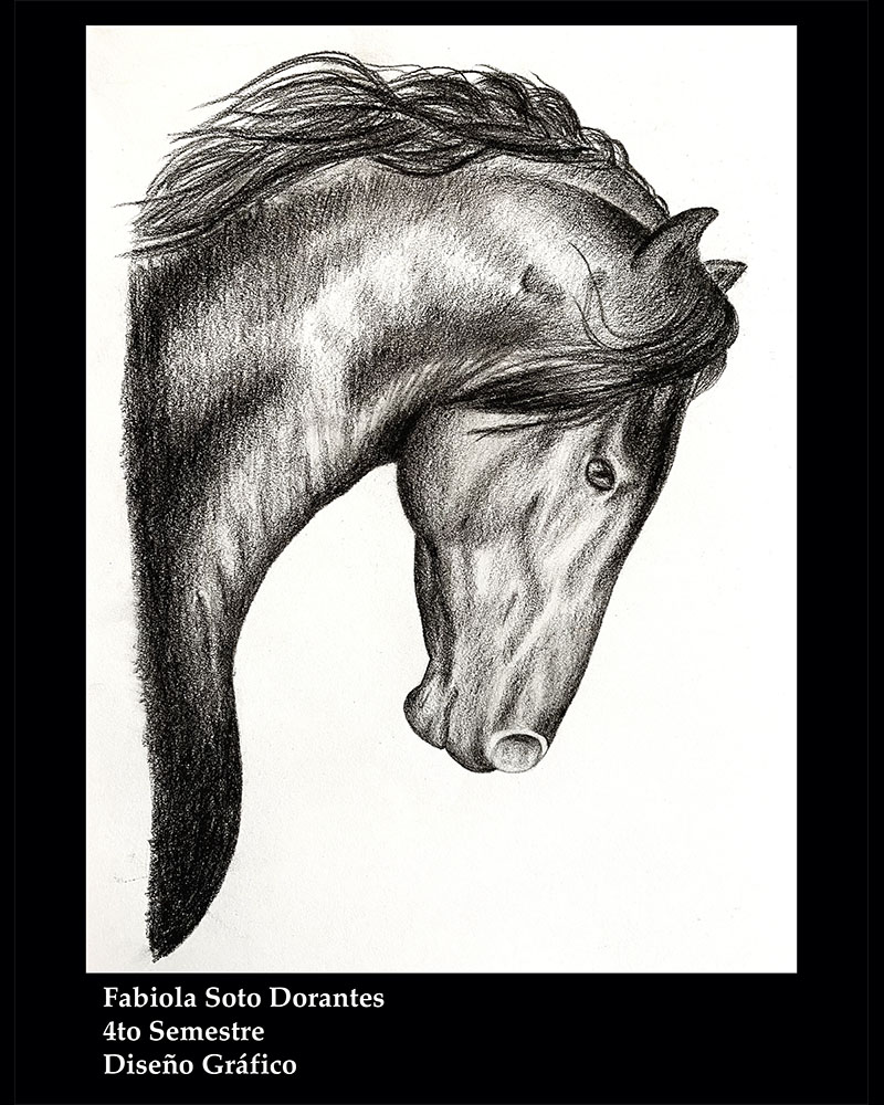 23 / 28 - Taller de Dibujo Artístico: Los Bellos Trazos del Dibujo Artístico 23 / 28 - Taller de Dibujo Artístico: Los Bellos Trazos del Dibujo Artístico