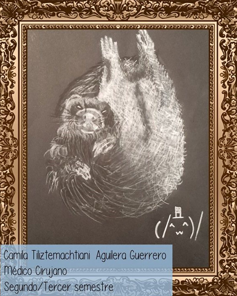 26 / 28 - Taller de Dibujo Artístico: Los Bellos Trazos del Dibujo Artístico 26 / 28 - Taller de Dibujo Artístico: Los Bellos Trazos del Dibujo Artístico