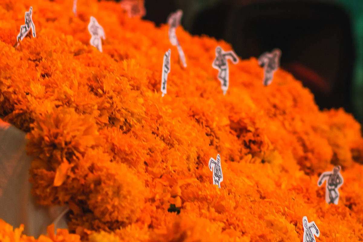 23 / 41 - Día de Muertos 2021: Recordando con Cariño a los que se Fueron 23 / 41 - Día de Muertos 2021: Recordando con Cariño a los que se Fueron