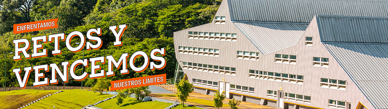 Desarrollo Profesional y Egresados