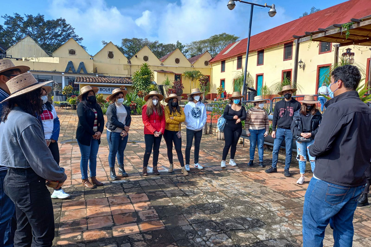 2 / 5 - Visita al Museo Bola de Oro del Café: Finca Roma 2 / 5 - Visita al Museo Bola de Oro del Café: Finca Roma