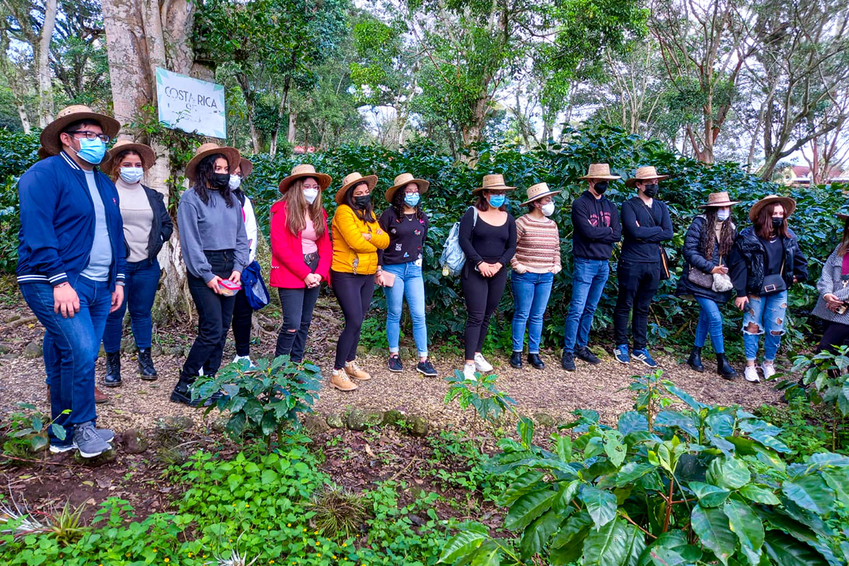 5 / 5 - Visita al Museo Bola de Oro del Café: Finca Roma 5 / 5 - Visita al Museo Bola de Oro del Café: Finca Roma