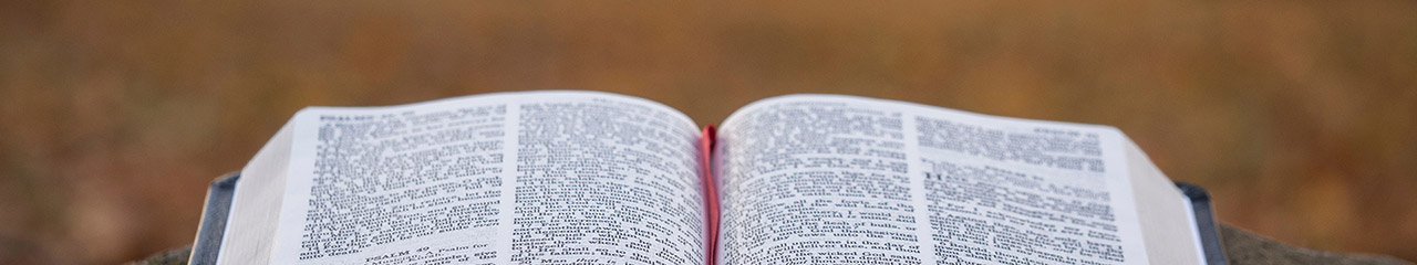 Adquisiciones de Biblioteca en Noviembre 2022