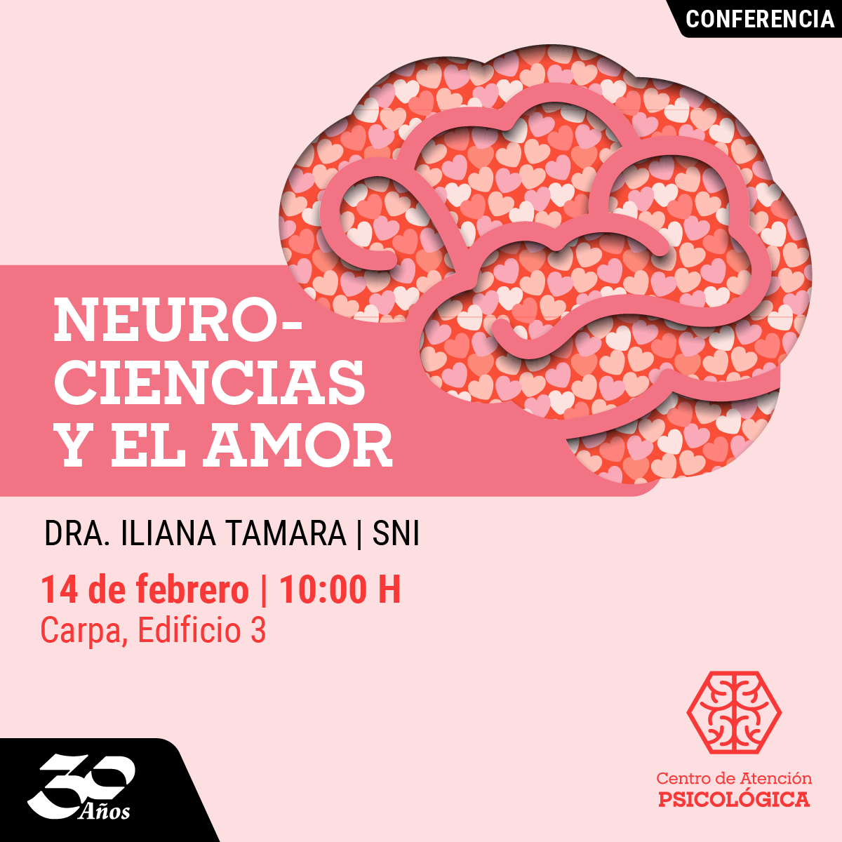 Neurociencias y el Amor Neurociencias y el Amor