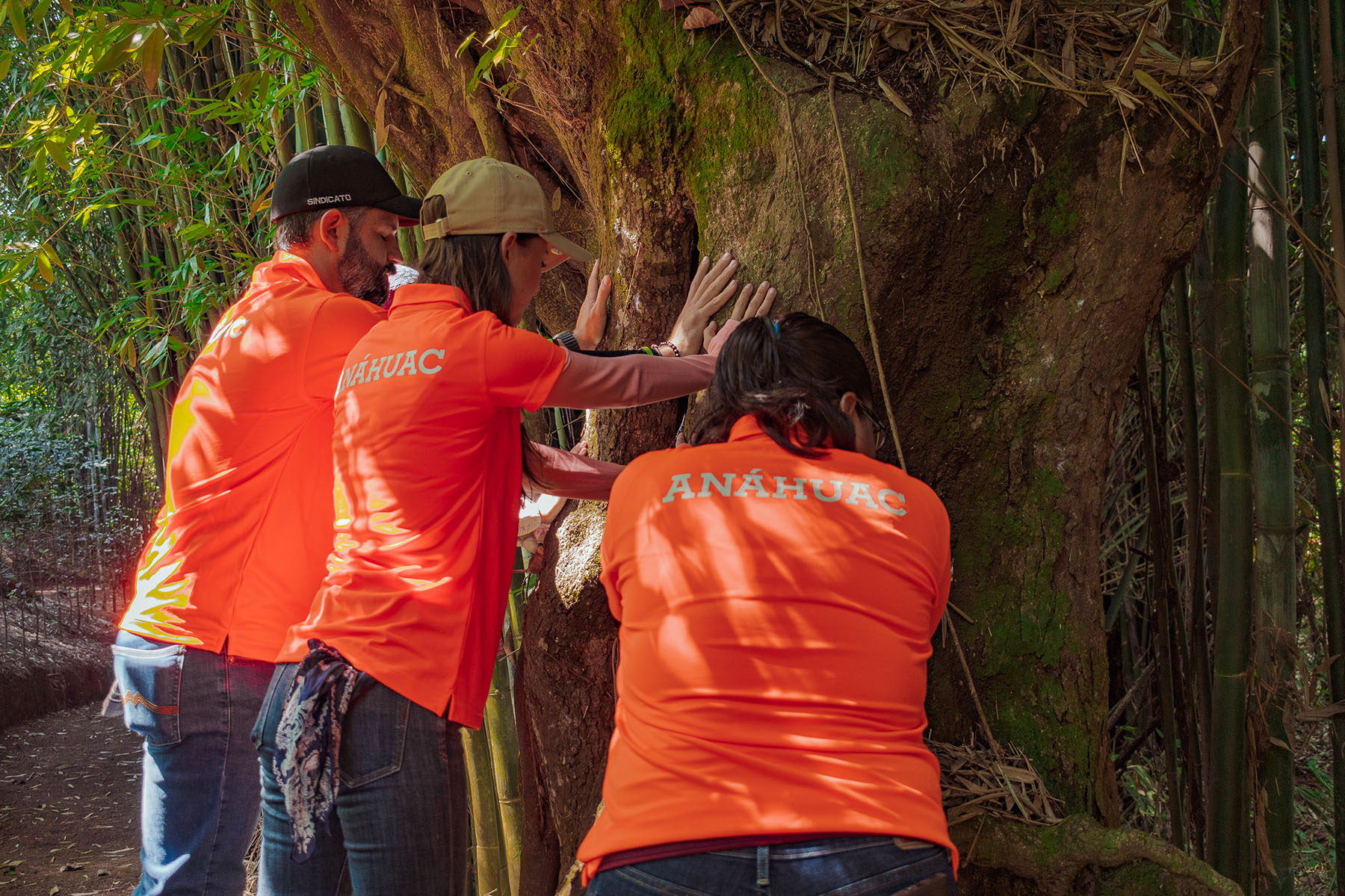 1 / 21 - Coaching Asistido por Caballos para Alumnos de la Maestría en Desarrollo de Capital 1 / 21 - Coaching Asistido por Caballos para Alumnos de la Maestría en Desarrollo de Capital