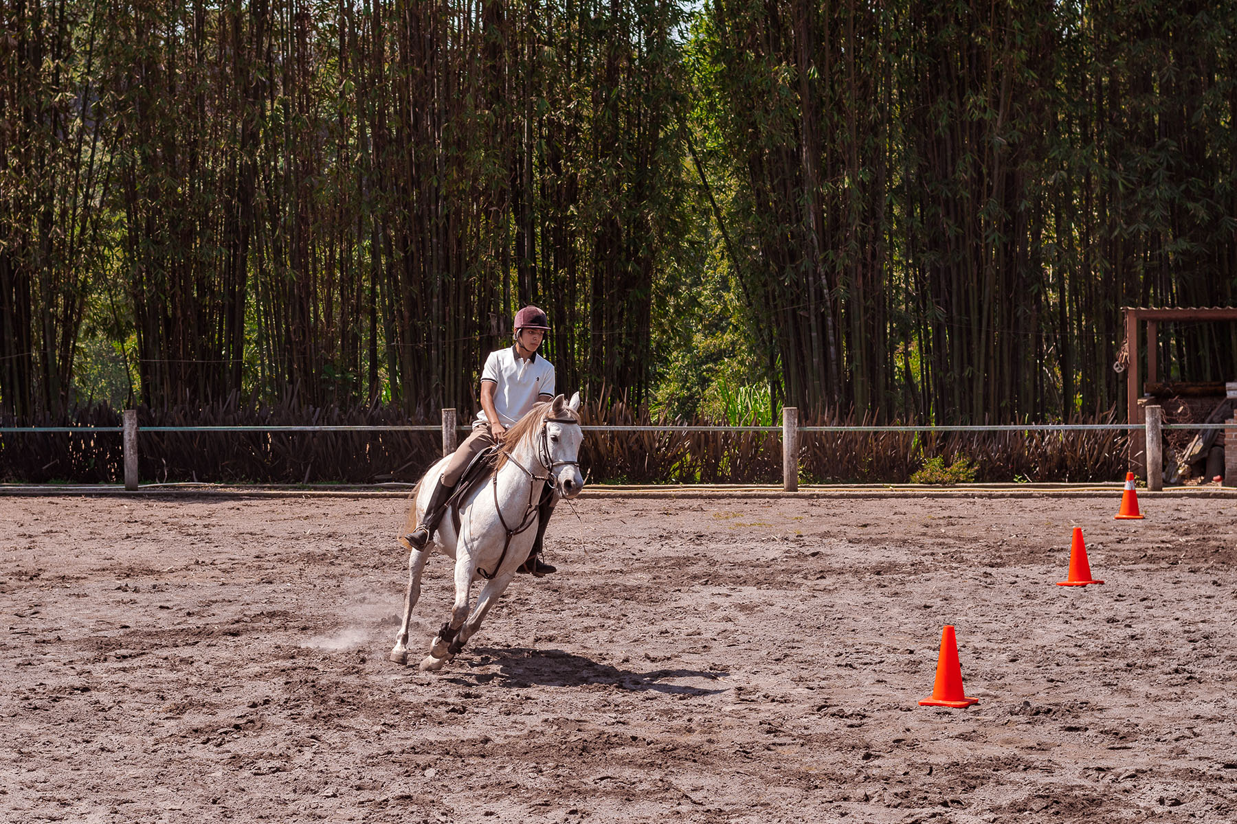 2 / 21 - Coaching Asistido por Caballos para Alumnos de la Maestría en Desarrollo de Capital 2 / 21 - Coaching Asistido por Caballos para Alumnos de la Maestría en Desarrollo de Capital