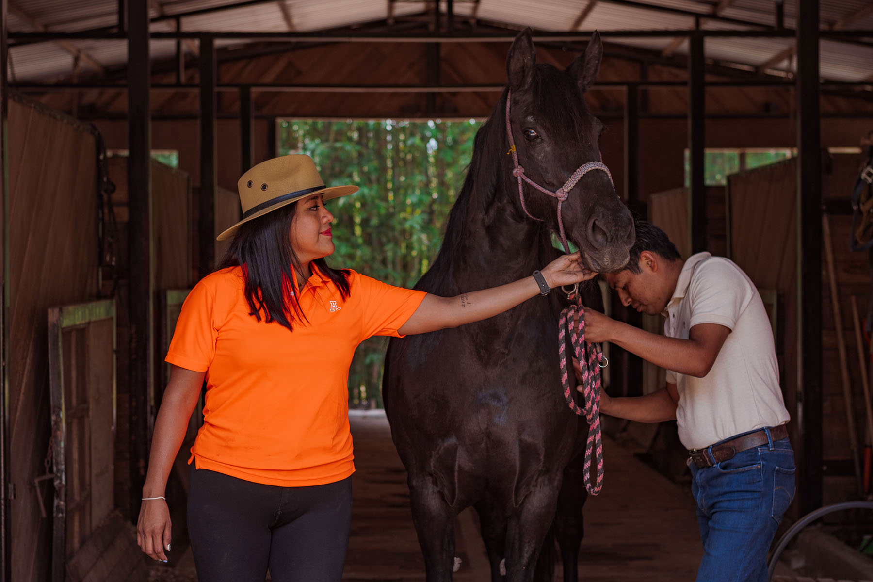 10 / 21 - Coaching Asistido por Caballos para Alumnos de la Maestría en Desarrollo de Capital 10 / 21 - Coaching Asistido por Caballos para Alumnos de la Maestría en Desarrollo de Capital