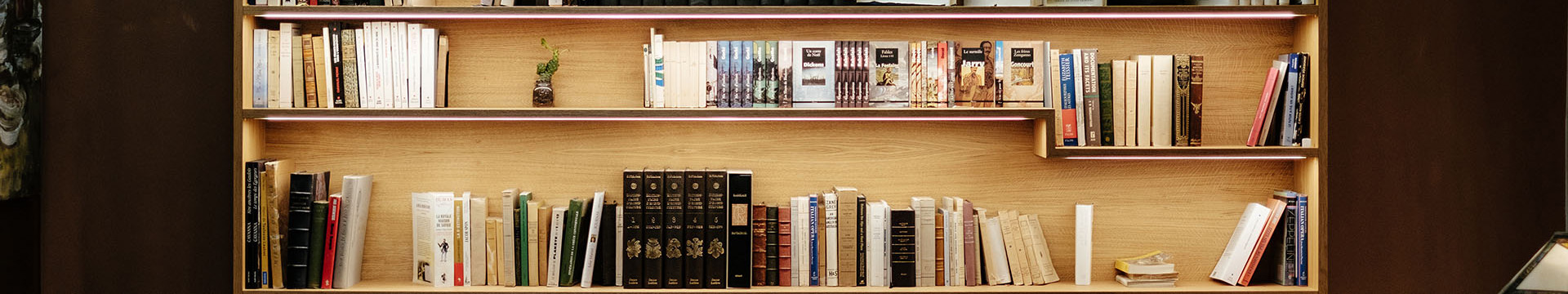 Adquisiciones de Biblioteca en Julio 2023