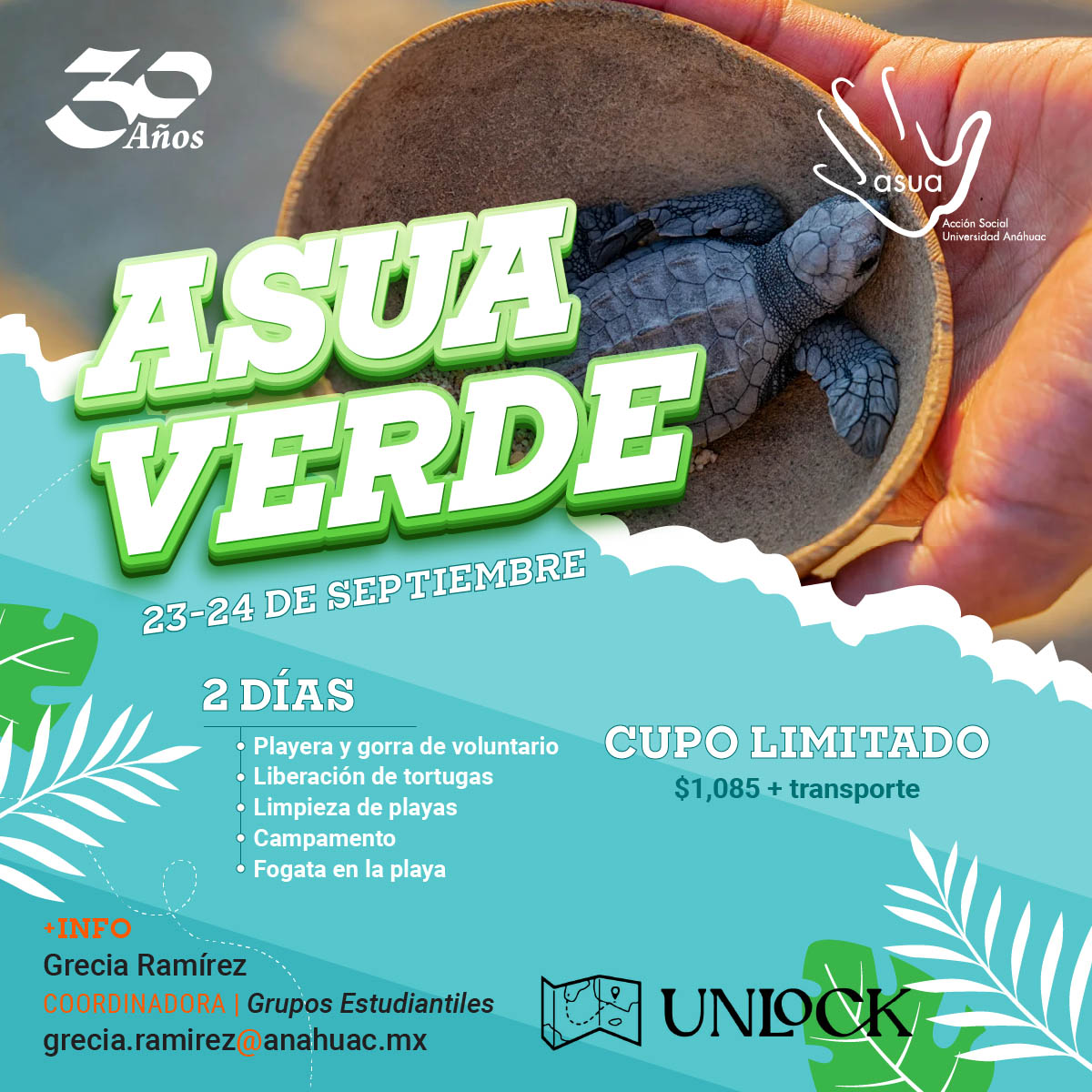 ASUA Verde ASUA Verde