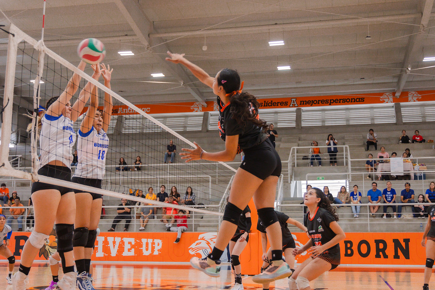 24 / 44 - Voleibol Varonil y Femenil en CONADEIP Conferencia Div 1 24 / 44 - Voleibol Varonil y Femenil en CONADEIP Conferencia Div 1