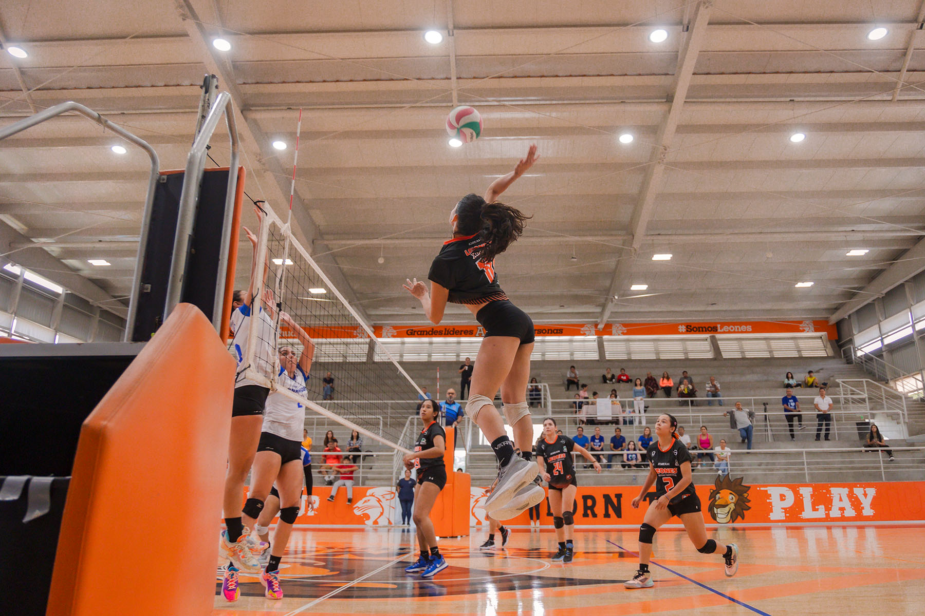 27 / 44 - Voleibol Varonil y Femenil en CONADEIP Conferencia Div 1 27 / 44 - Voleibol Varonil y Femenil en CONADEIP Conferencia Div 1