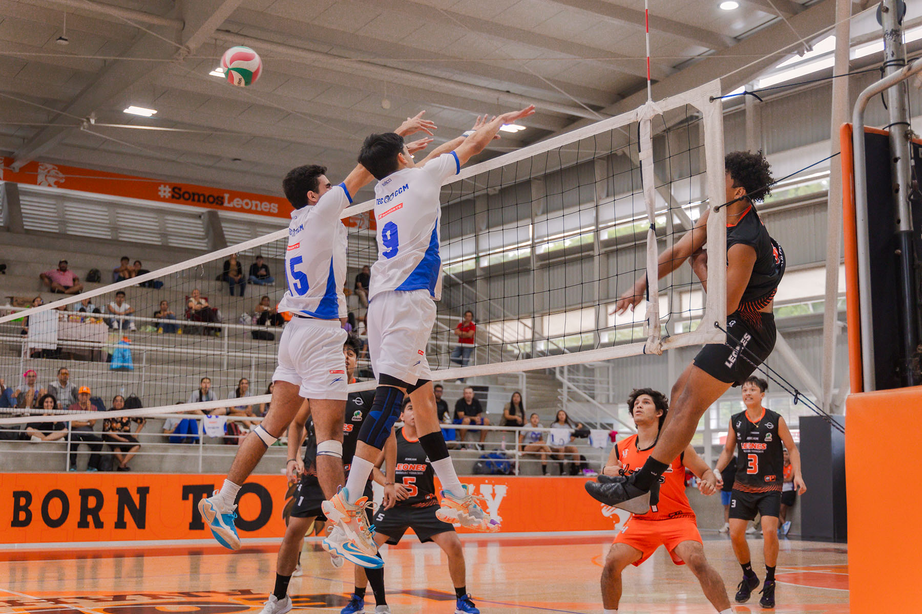 40 / 44 - Voleibol Varonil y Femenil en CONADEIP Conferencia Div 1 40 / 44 - Voleibol Varonil y Femenil en CONADEIP Conferencia Div 1