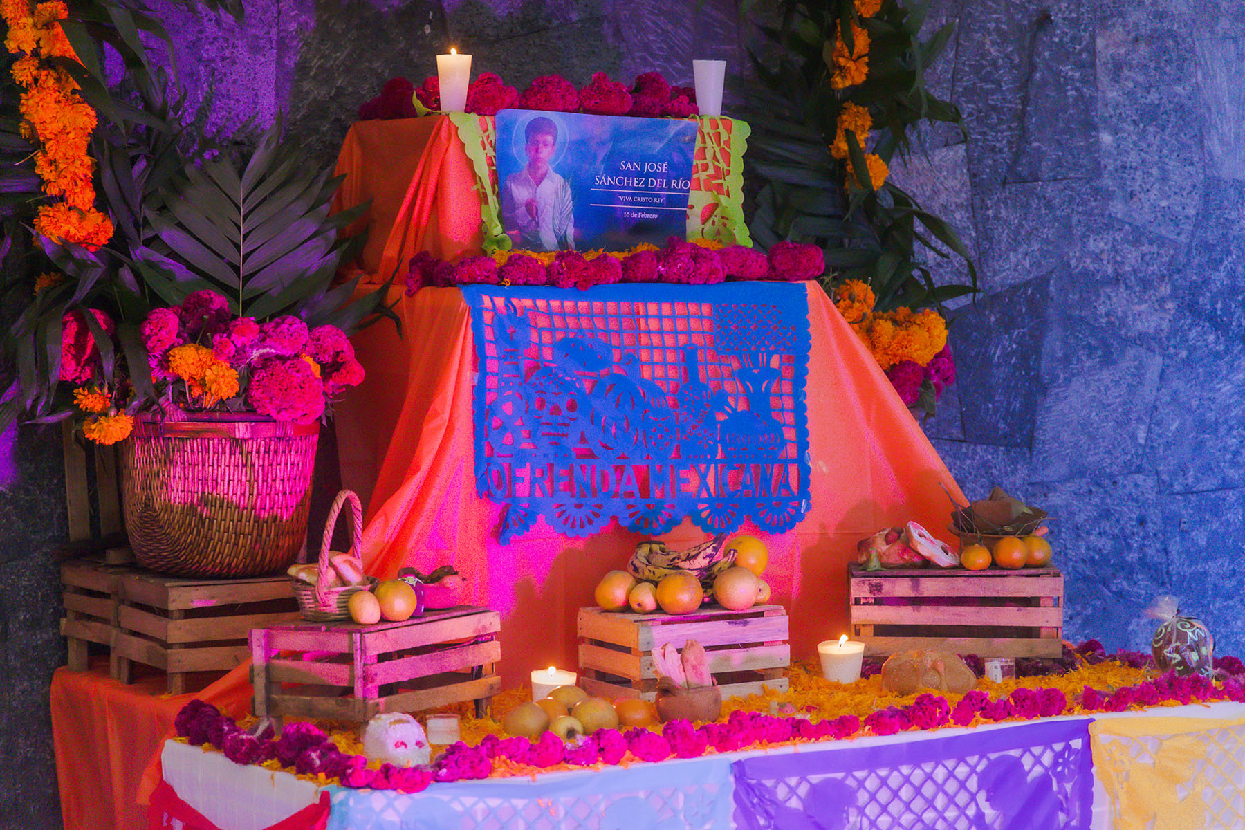 24 / 48 - Celebración de Día de Muertos 2023 24 / 48 - Celebración de Día de Muertos 2023