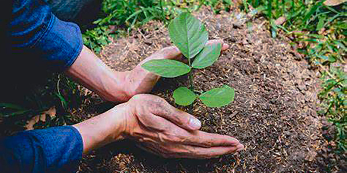 1 / 2 - Fundación Mexicana de Servicios Ambientales Tecnológicos y Científicos 1 / 2 - Fundación Mexicana de Servicios Ambientales Tecnológicos y Científicos