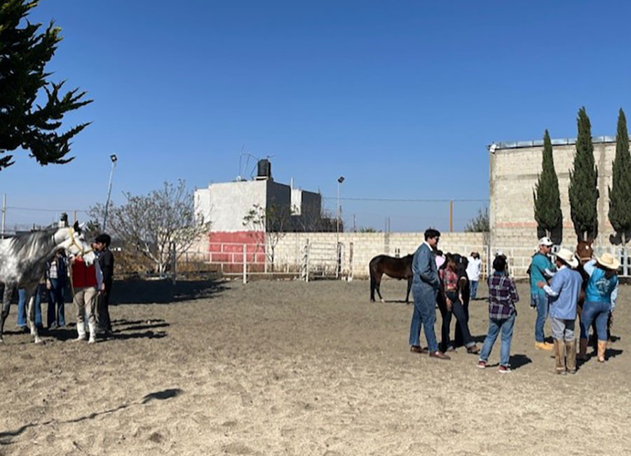 3 / 4 - Visita Exitosa al Rancho La Querencia: Una Experiencia en el Mundo Equino 3 / 4 - Visita Exitosa al Rancho La Querencia: Una Experiencia en el Mundo Equino