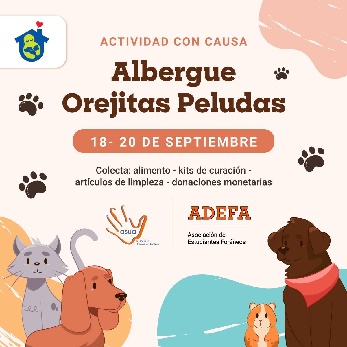 Albergue Orejitas Peludas: Actividad con Causa Albergue Orejitas Peludas: Actividad con Causa