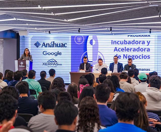 Programa de Incubadora y Aceleradora de Negocios