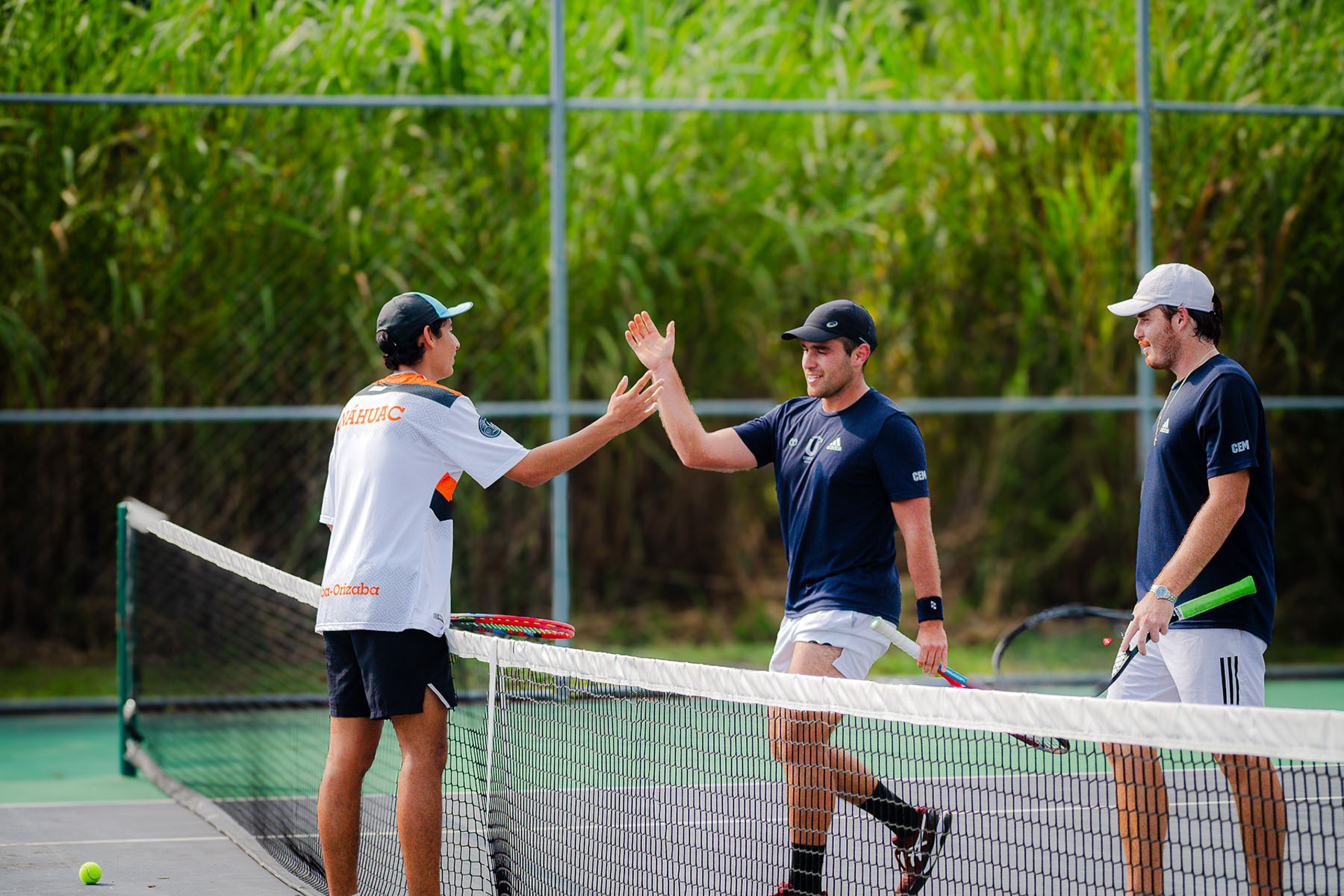18 / 81 - Torneo Nacional de Tenis por Equipos CONADEIP 18 / 81 - Torneo Nacional de Tenis por Equipos CONADEIP