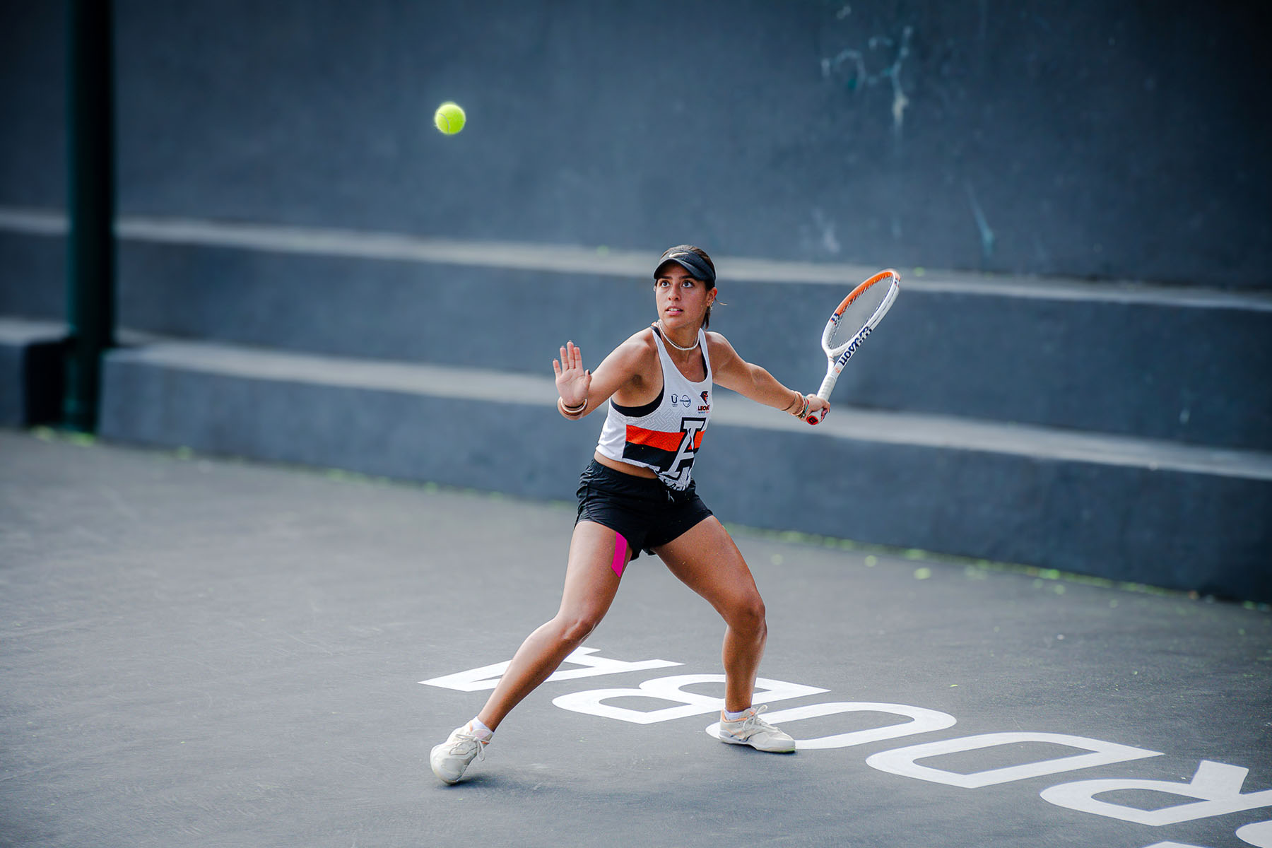 50 / 81 - Torneo Nacional de Tenis por Equipos CONADEIP 50 / 81 - Torneo Nacional de Tenis por Equipos CONADEIP