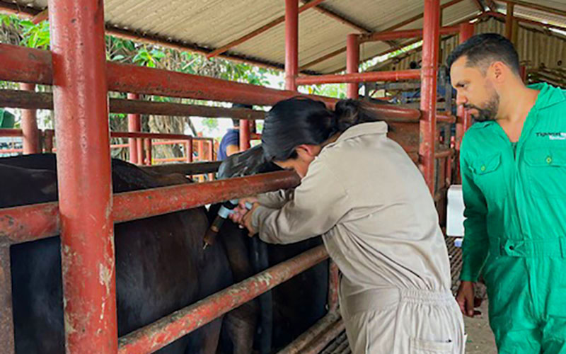 6 / 7 - Experiencia Práctica en el Rancho Ganadero Los Framboyanes 6 / 7 - Experiencia Práctica en el Rancho Ganadero Los Framboyanes