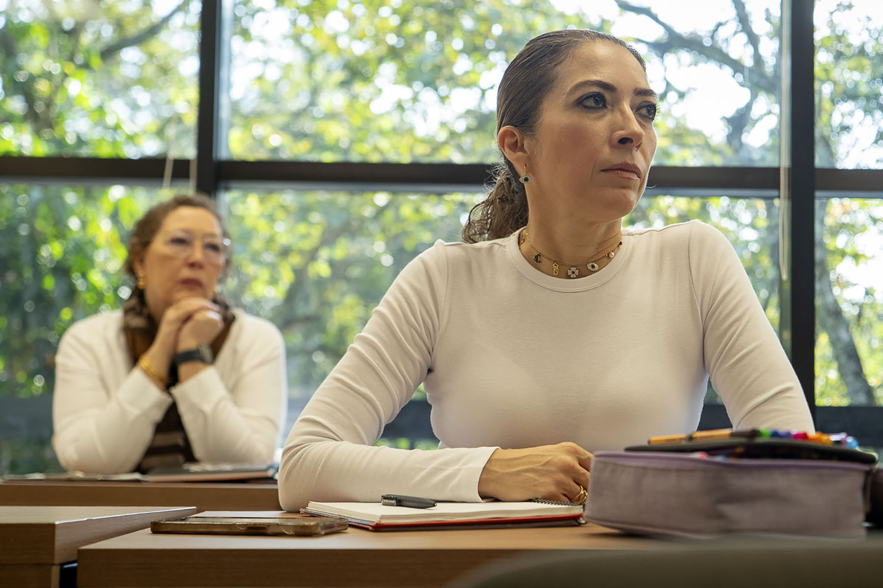 5 / 27 - Diplomado en Asesoría Familiar: Un Paso Hacia el Fortalecimiento de los Lazos Familiares