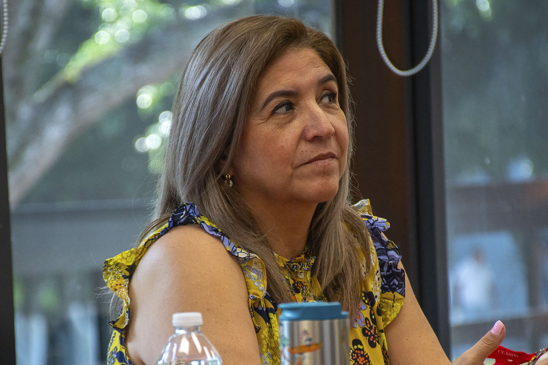 23 / 27 - Diplomado en Asesoría Familiar: Un Paso Hacia el Fortalecimiento de los Lazos