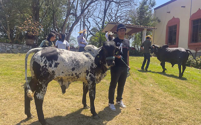 7 / 9 - Alumnos Visitan el Rancho Ganadero: El Redentor 19 7 / 9 - Alumnos Visitan el Rancho Ganadero: El Redentor 19