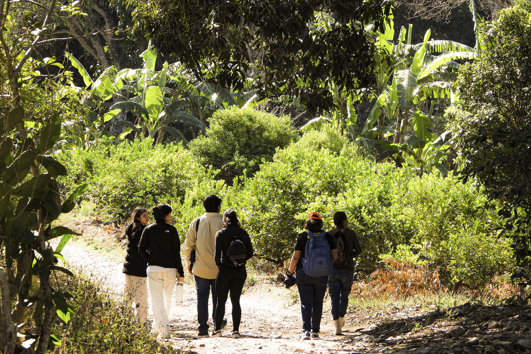 4 / 8 - Explorando Experiencias de Turismo Sustentable