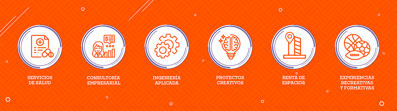 Servicios Profesionales