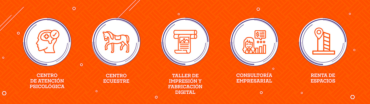 Servicios Profesionales