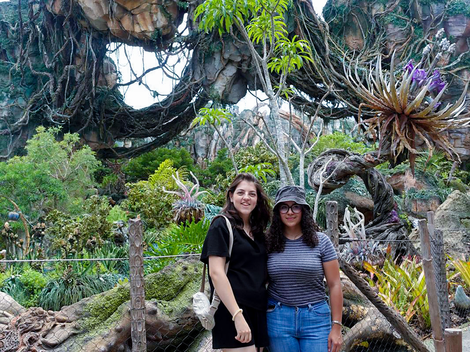 15 / 24 - Alumnos Anáhuac Participan en el Programa de Intercambio Cultural de Disney