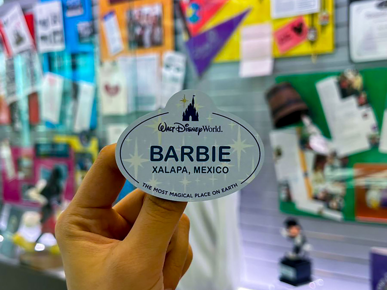 17 / 24 - Alumnos Anáhuac Participan en el Programa de Intercambio Cultural de Disney