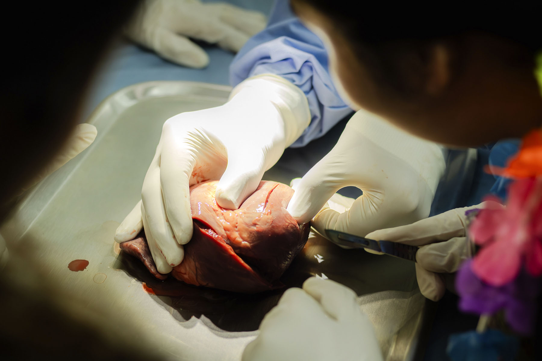 50 / 149 - Campus Visit 2025: Galería 50 / 149 - Campus Visit 2025: Galería