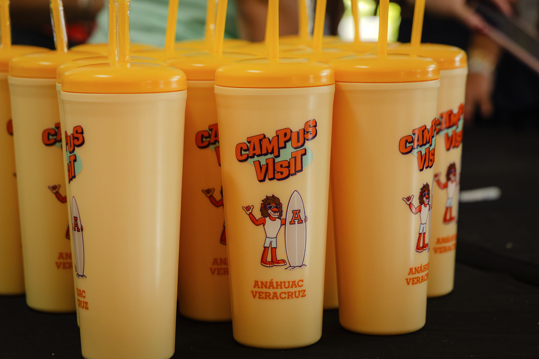 117 / 149 - Campus Visit 2025: Galería 117 / 149 - Campus Visit 2025: Galería