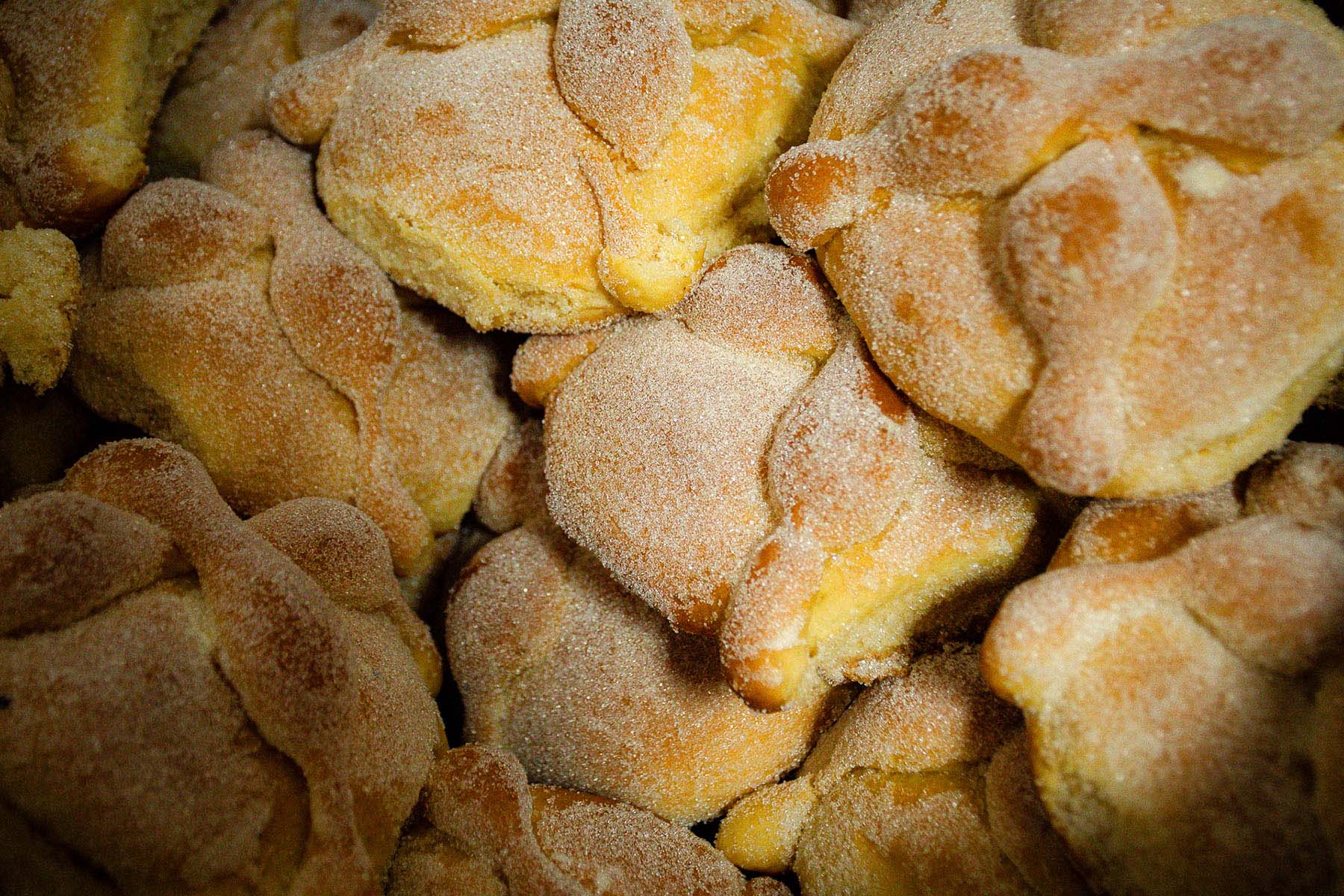 3 / 17 - Festín de Día de Muertos de Posgrados 3 / 17 - Festín de Día de Muertos de Posgrados